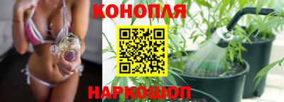 не бодяженный Тара