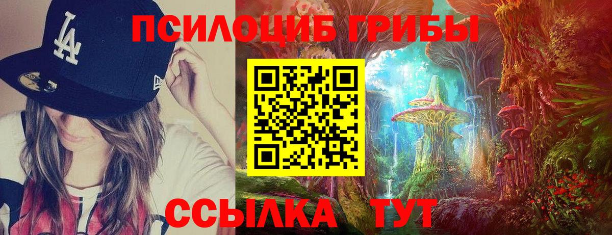 Нарьян-Мар  Псилоцибиновые грибы GOLDEN TEACHER  Вход с VPN 